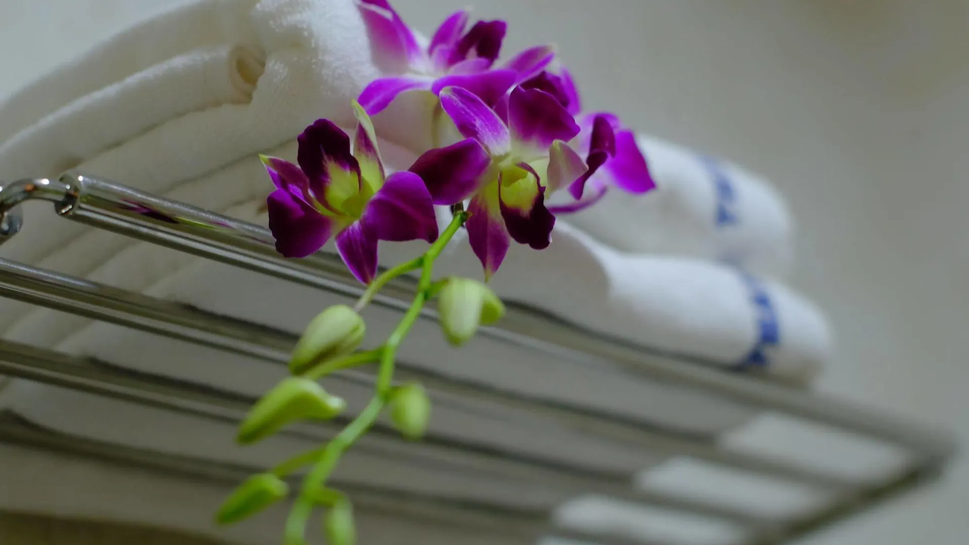 Thanh Hoang Chau Boutique Hotel  Da Nang