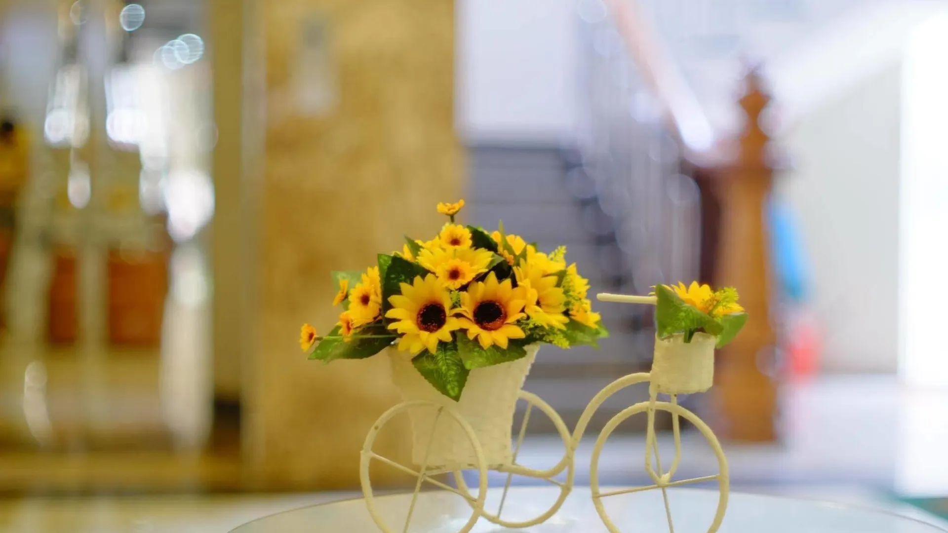 Thanh Hoang Chau Boutique Hotel Vietnam